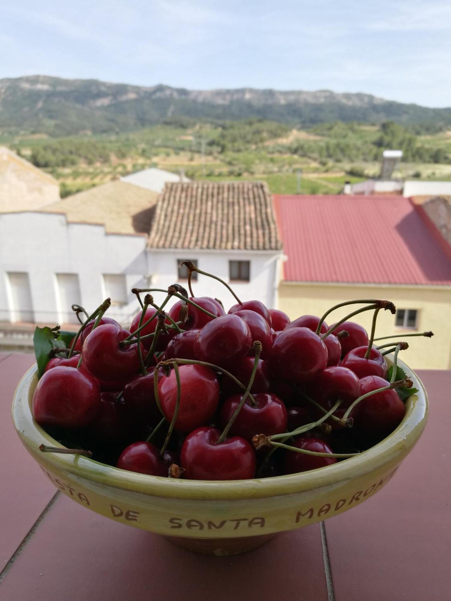 Apartaments Els Temporers Corbera Dış mekan fotoğraf